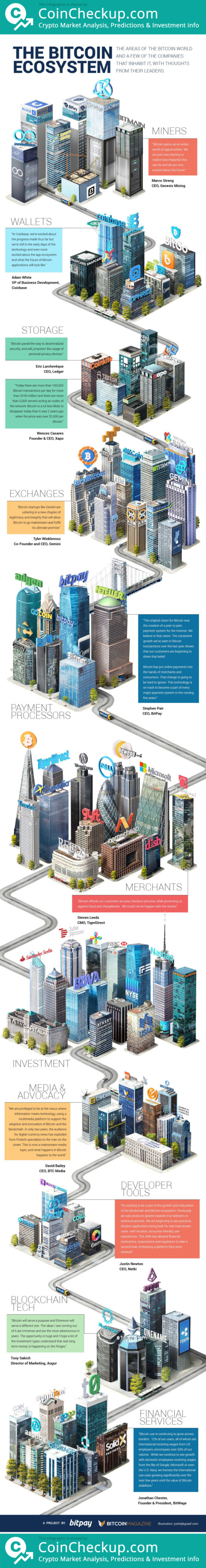 The Bitcoin Ecosystem Infographic